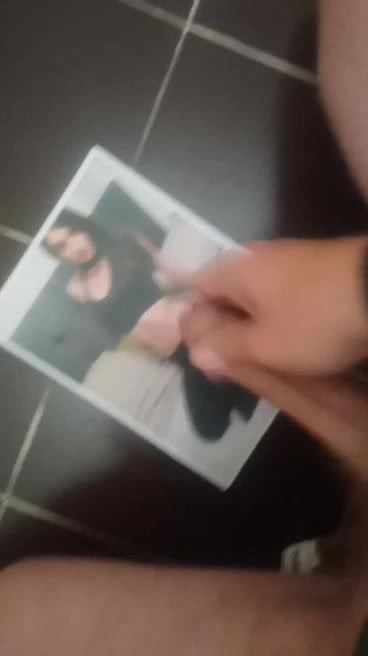 Tribute 19