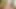 18VR.com Daisy Lee Loves Fuck In Stockings