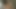 ワイルドな女の子たちが情熱的に吸い、激しくセックスする