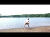 Video ön izlemesi