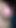 誰が私のチンポをしゃぶるのか?
