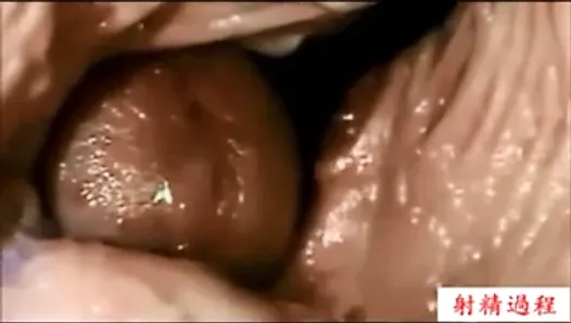 Processo de ejaculação