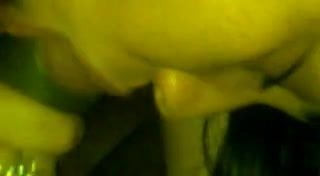 Nóng chocoblowjob từ dễ thương latina