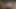ليلة التاريخ تذهب بطنها لأعلى!