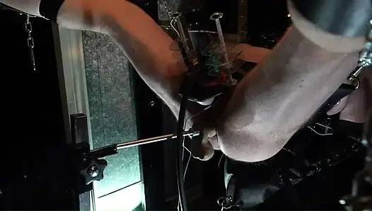 Elektro venus schwanzmelken und Maschinenfick in der Lederschlinge