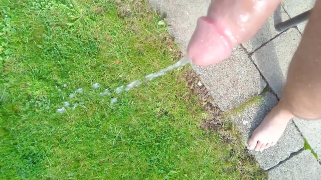Pee in the garden