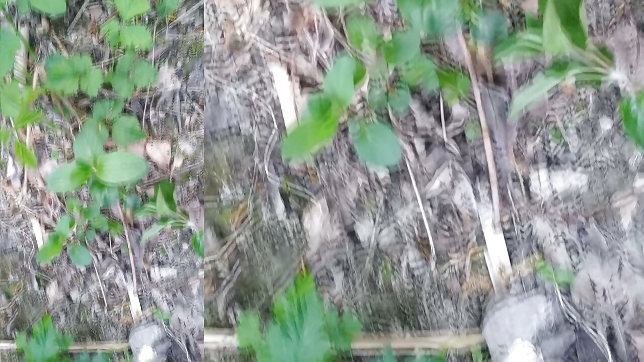 Cock exposed through the pants fly, this cute gay boy, humping, precuming, cumming, cleaning sperm on dick outdoors Jon Arteen