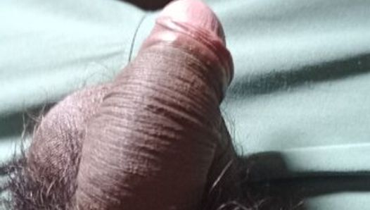 Desi indischer Junge masturbiert beim Anschauen von Porno-Video