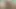 Horse Cock Kimber Strokes Huge Cumshot