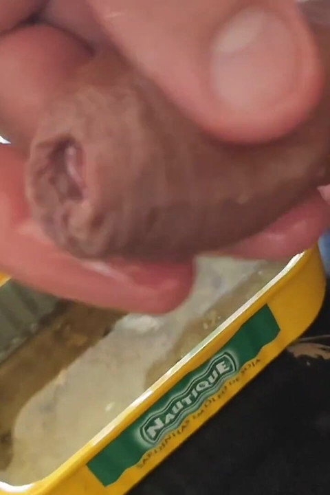 Receta De Pene Enlatado Con Aceite Comestible.