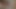 0373 Er leckt gerne meinen haarigen arsch, nachdem ich ihn so gut gefickt habe (Vollversion von OnlyFans)