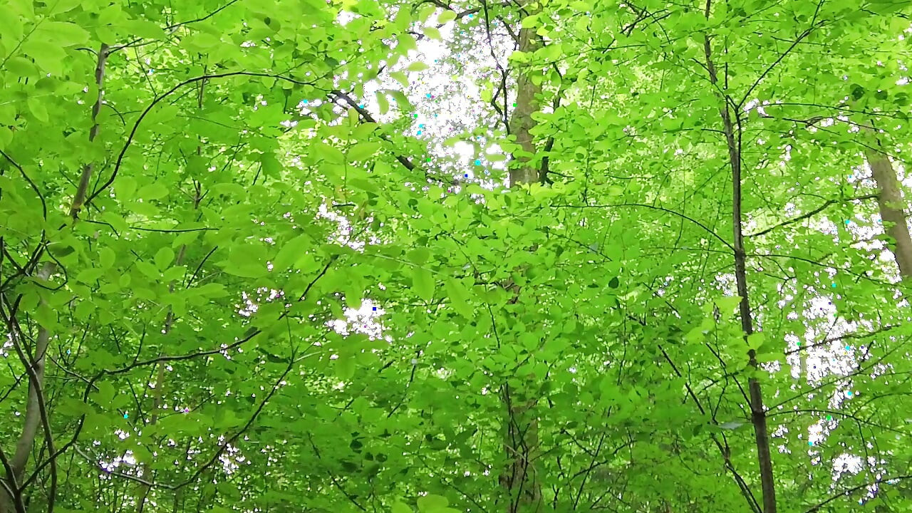 Last Summer Vibes - Waterfall Wank