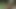 私の奴隷生活2