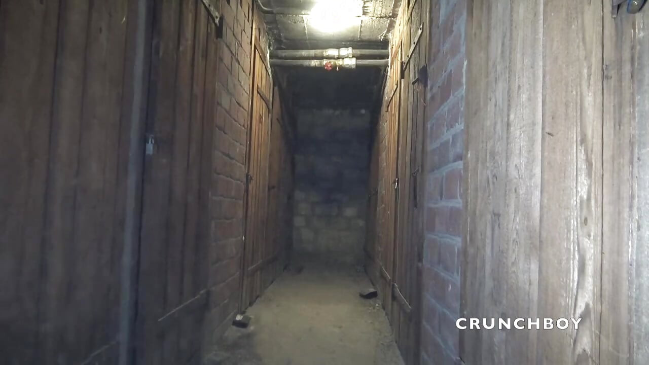 Jess fucked raw by straight ebony dude in basement