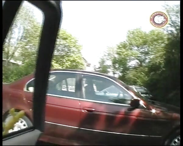Behind German Doors Is Fucked Diligently - Full Movie