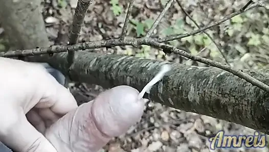 I jerked off and came while walking in the forest. Cum on a tree.