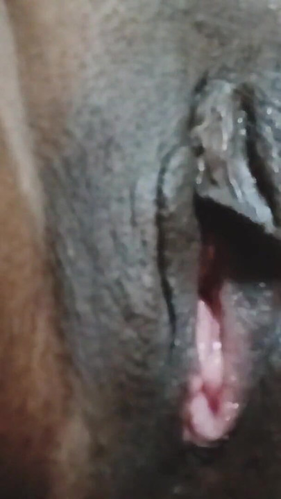 Desi Bhabi Loray ki Talash mei Piyasi Phudi | Clip 1