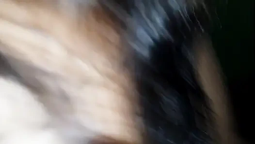 Hintli köylü gril nadiya sıkı amcıklı sert seks tam video Hintli seks videosu