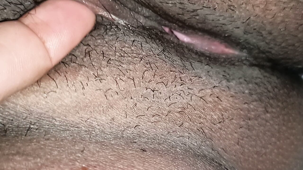 Indian pusy