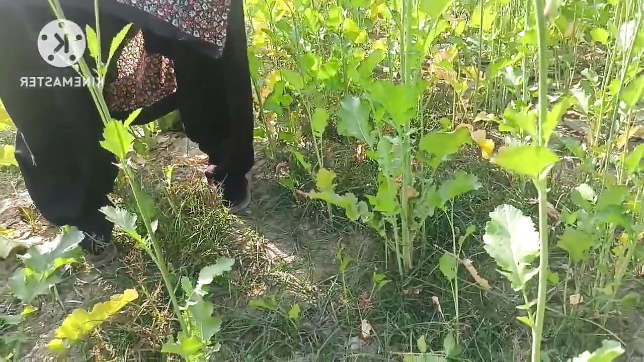 Indiancă desi bhabhi futută de Devar în aer liber
