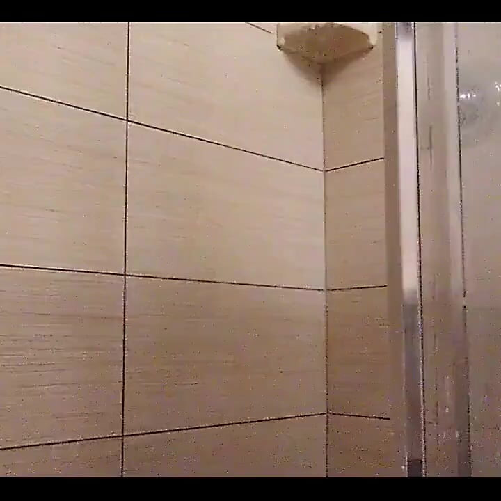 Bu uzun bacaklar, onları yukarı tırmandırmada hiçbir sorun yok