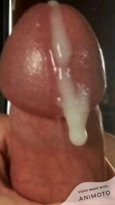 Cock
