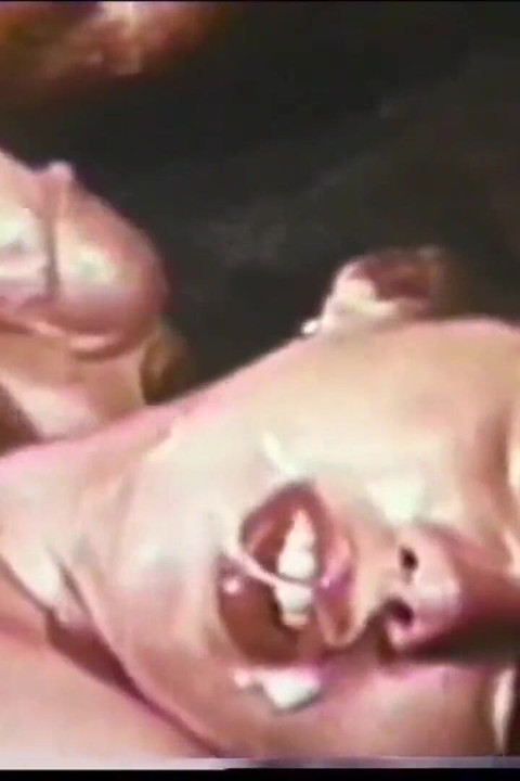 John Holmes the Wild Lover