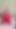 MILF ONLYFANS LEAK RED LINGERIE TOUCHING HERSELF