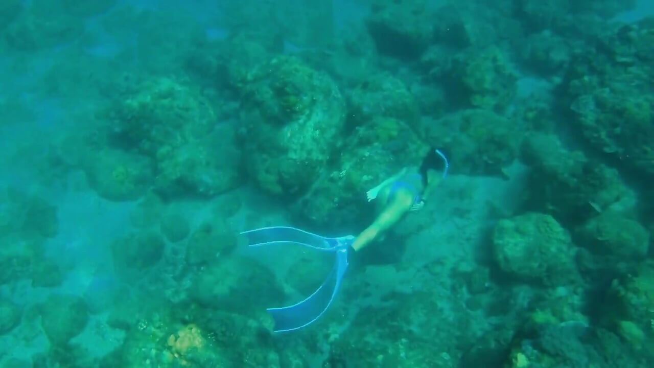 A Pequena Sereia