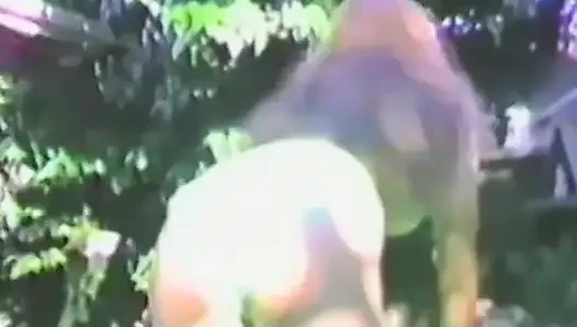 Vintage Outdoor Masturbation Action