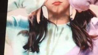 Twice Chaeyoung cum tribute