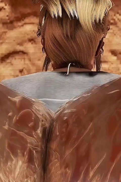 Funy 267