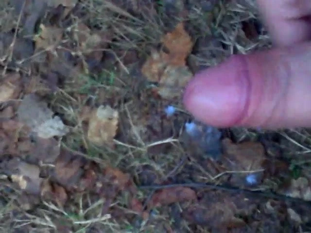 Nackter Sklave wichst im Wald
