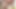 濡れた混乱の中におしっこを セクシー プッシー プティー アジア系