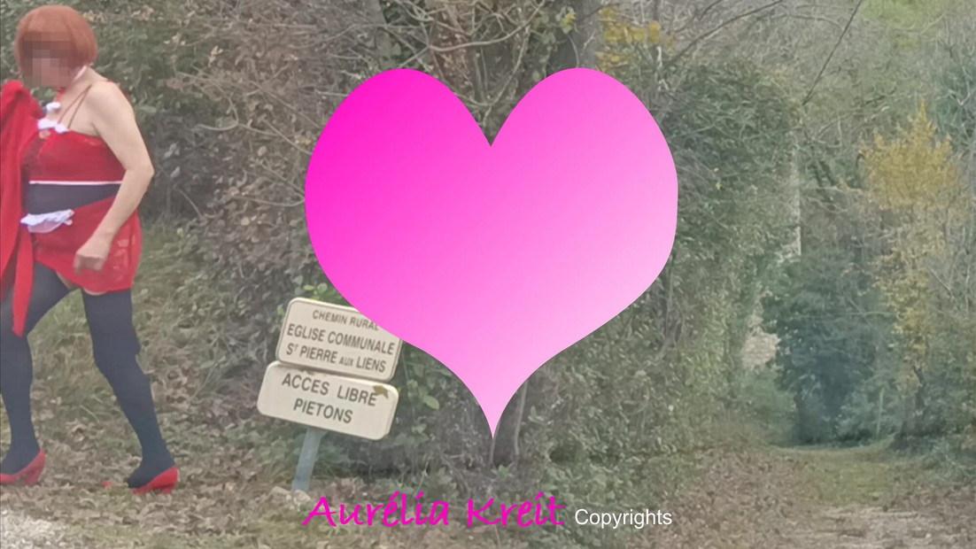 Christmas is approaching, Santa Girl is out to prepare Santa's tour: