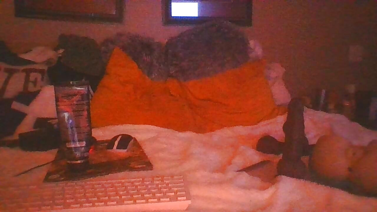 الخنثى يحب مص الديكس السوداء