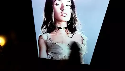 Hommage à Megan Fox