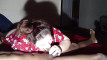 Pregled videozapisa