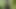Boy jerks off in open forest