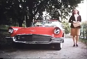 American Vintage #1