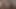 セクシーな女の子が太いペニスをしゃぶりながら喘ぐ