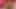 The red-haired skinny colombian shemale beauty cums again