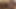 ASKED MY STEPSISTER TO HELP ME CUM