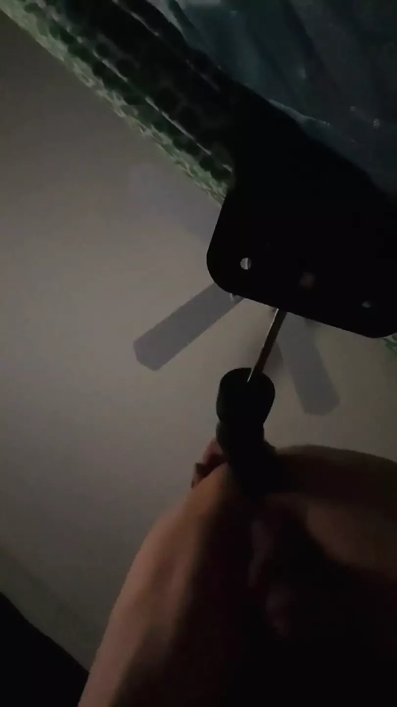 假阳具性爱机器