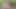 愛らしいアジア人ブルネットがびしょ濡れのまんこをこする