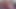 WEBCAM: Poledancing Stripping Vibrator Orgasm