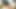 Sie schiebt sich Vibrator, Gurke und Karotte gleichzeitig rein