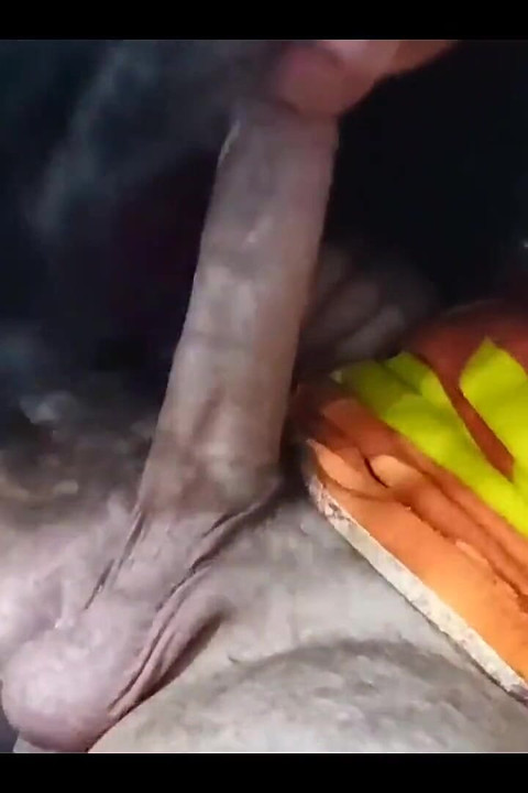 สาวผู้ใหญ่ดูดควยหนุ่ม