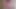 jess silk riding dildo in pink satin robe and hot pink nightie with red wig