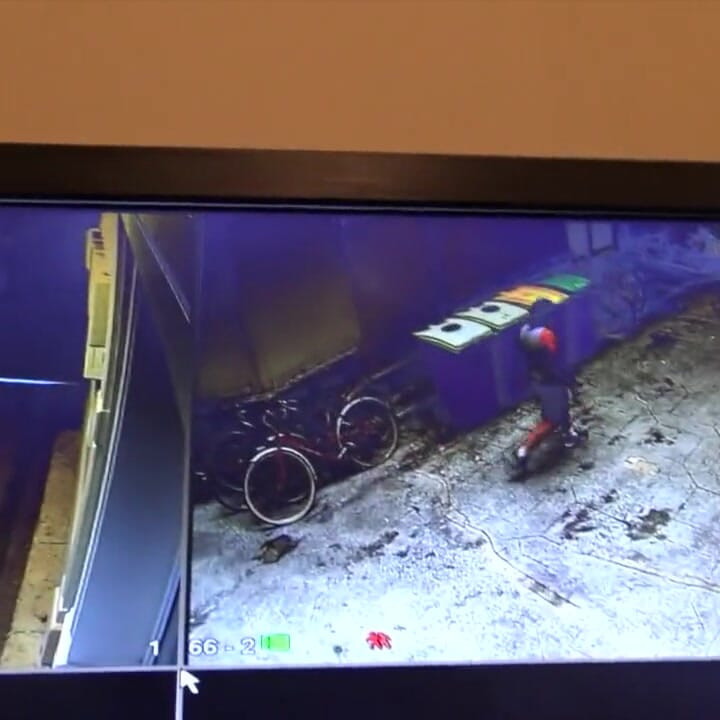 Jess Royan Romy Toon'un xxl yarağı tarafından sikiliyor